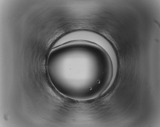 X0000103290585200809122009