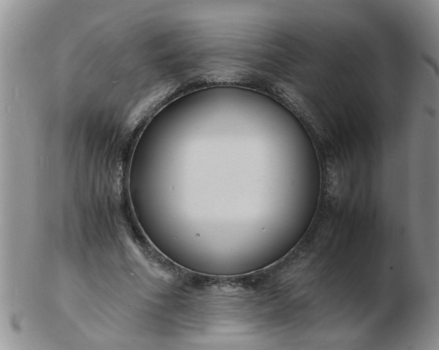 X0000103290586200809122009