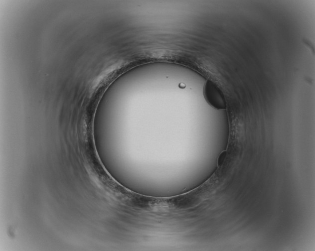 X0000103290587200809122009