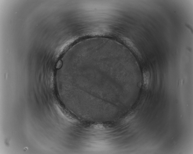 X0000103290588200809122009