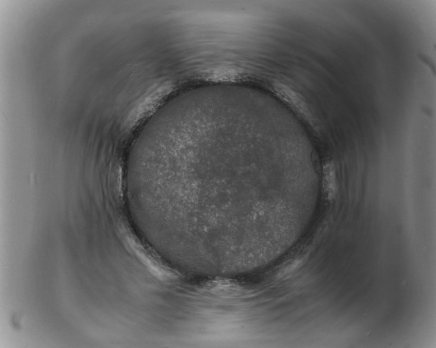 X0000103290589200809122009