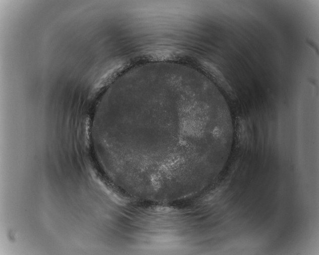 X0000103290590200809122009