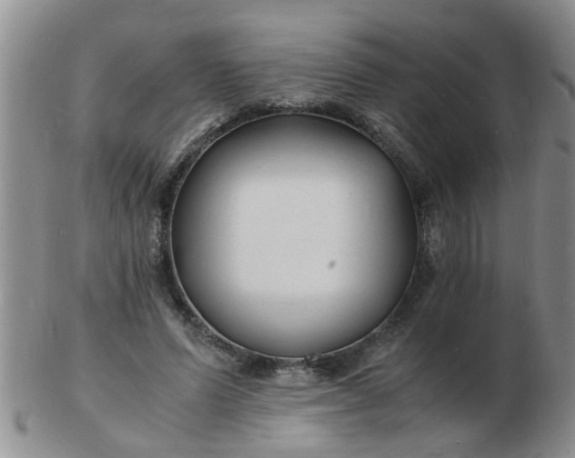 X0000103290591200809122009