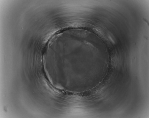 X0000103290592200809122009