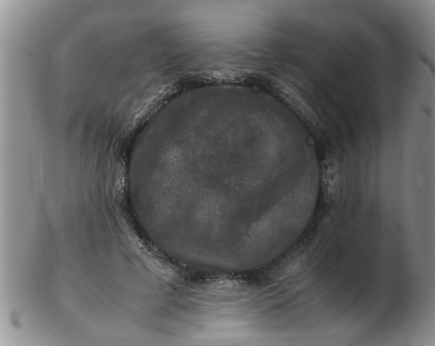 X0000103290593200809122009