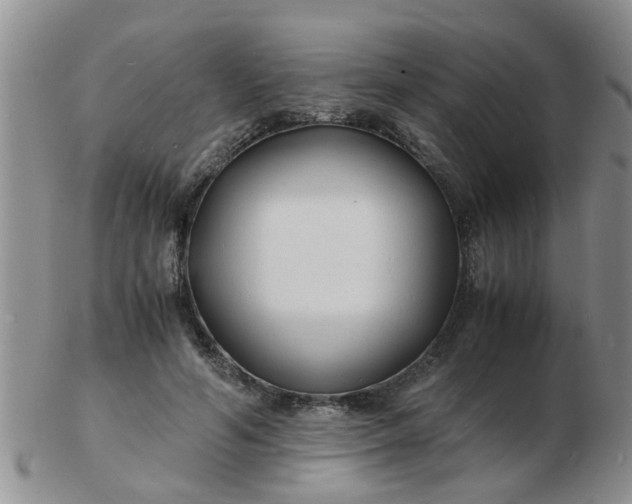 X0000103290594200809122009