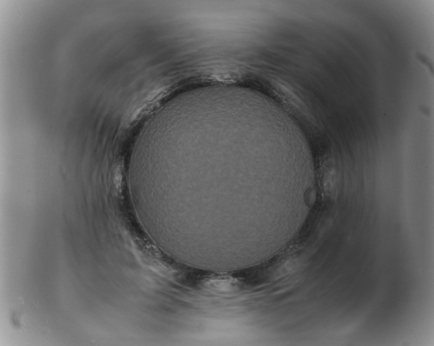 X0000103290595200809122009