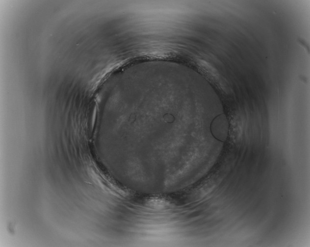 X0000103290596200809122009