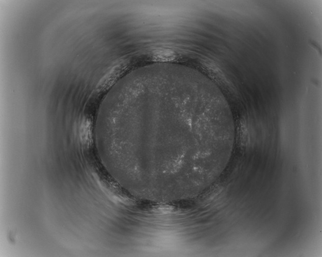 X0000103290598200809122009