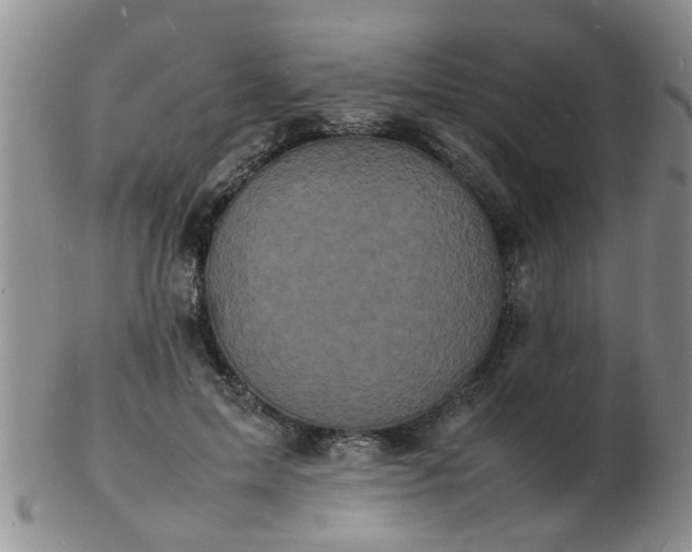 X0000103290599200809122009