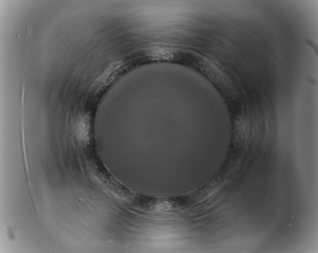 X0000103290600200809122009