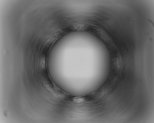 X0000103290602200809122009