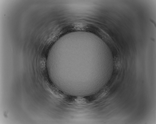 X0000103290603200809122009