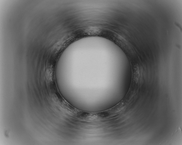 X0000103290604200809122009