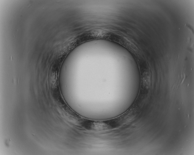 X0000103290605200809122009