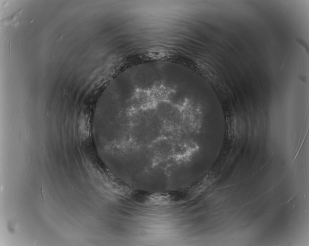 X0000103290606200809122009