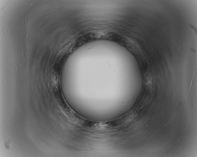 X0000103290607200809122009