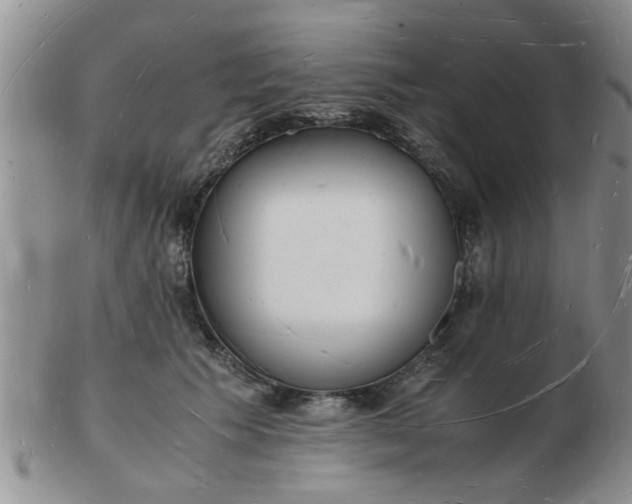 X0000103290609200809122009