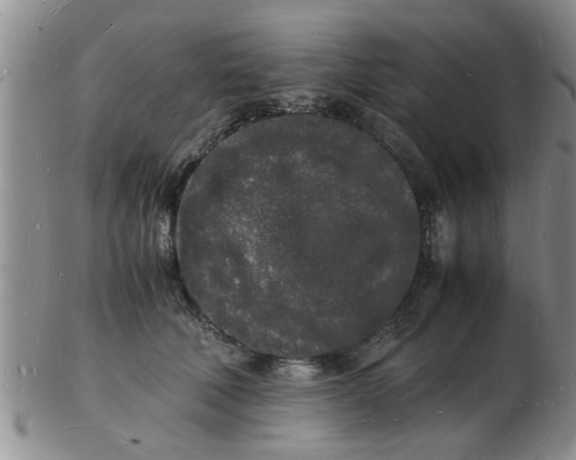 X0000103290610200809122009