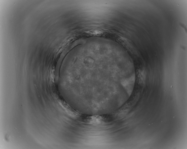 X0000103290612200809122009