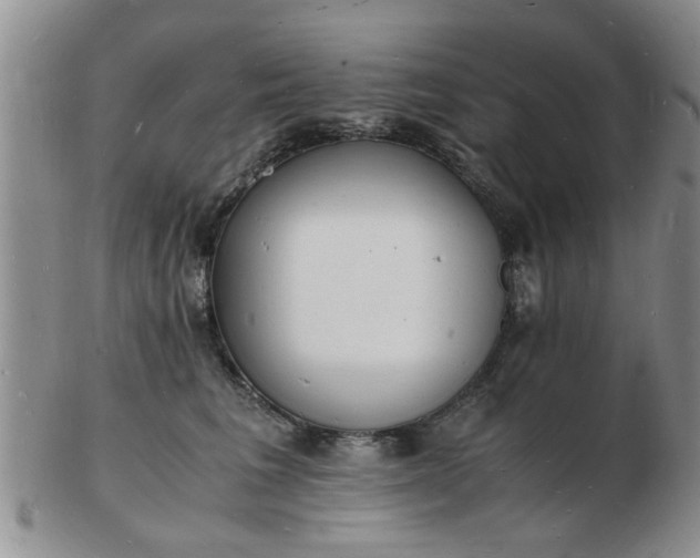 X0000103290613200809122009