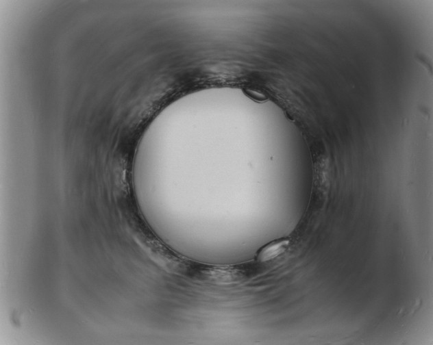 X0000103290615200809122009