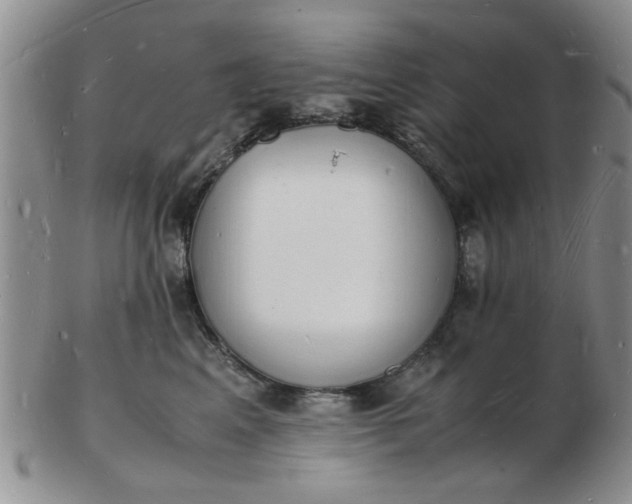 X0000103290617200809122009