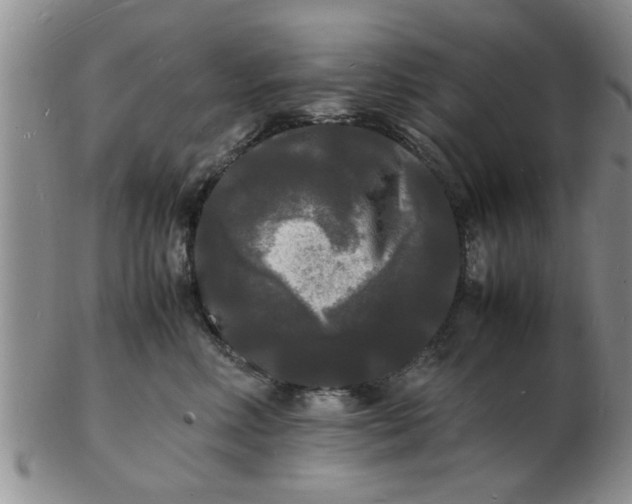 X0000103290618200809122009