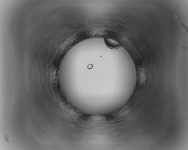 X0000103290619200809122009