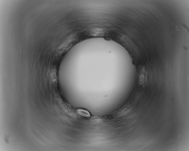 X0000103290620200809122009