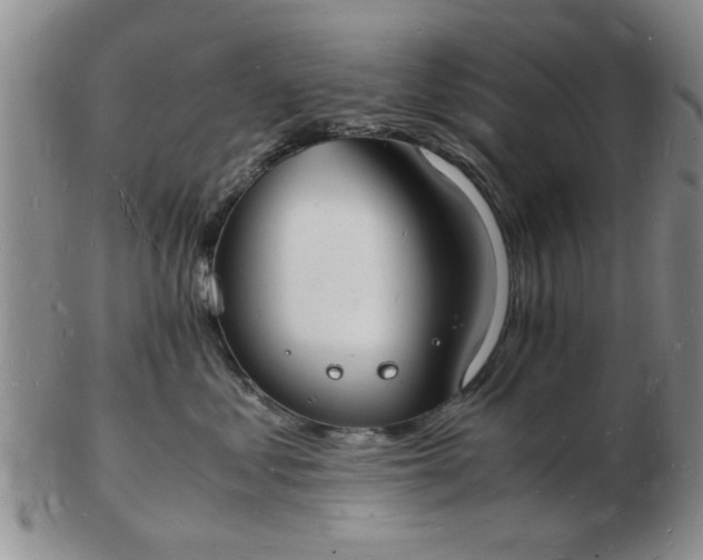 X0000103290621200809122009