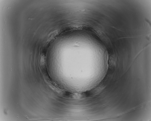 X0000103290623200809122009