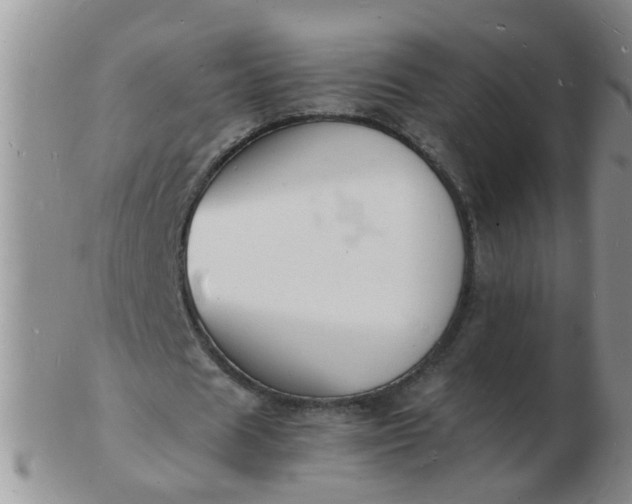 X0000103290625200809122008