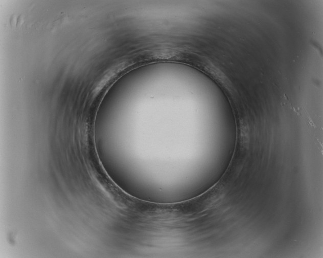 X0000103290626200809122008