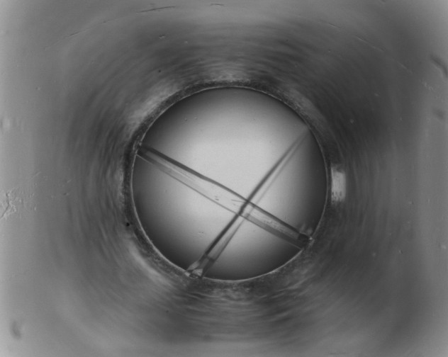 X0000103290627200809122008