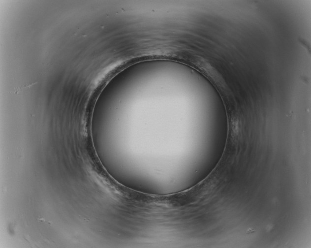 X0000103290628200809122008