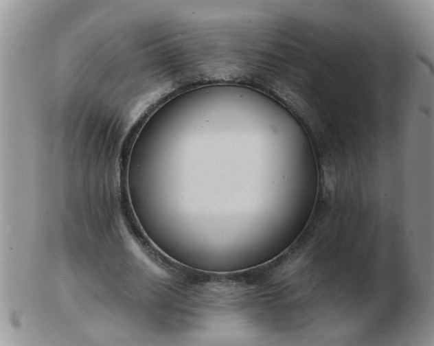 X0000103290630200809122008