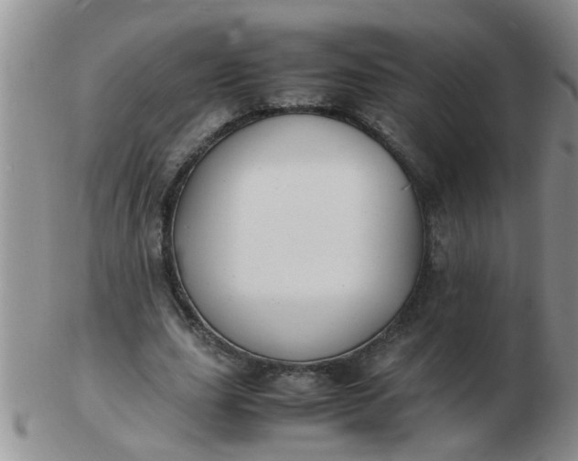 X0000103290631200809122008