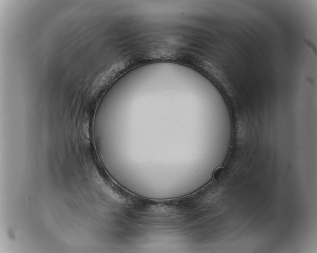 X0000103290633200809122008