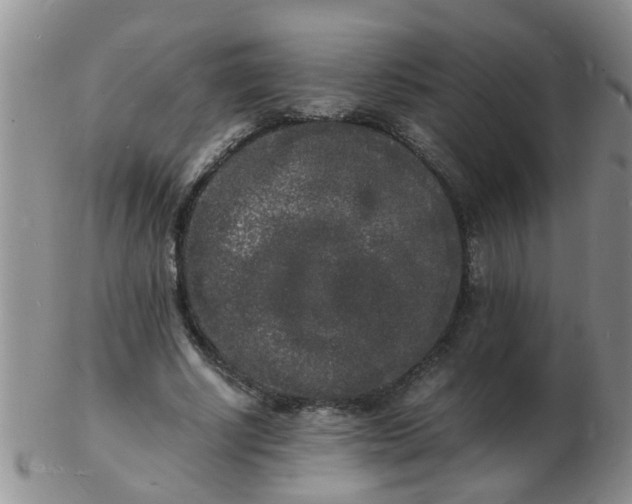 X0000103290634200809122008