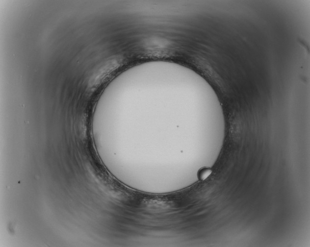 X0000103290635200809122008