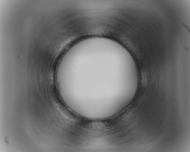 X0000103290636200809122008