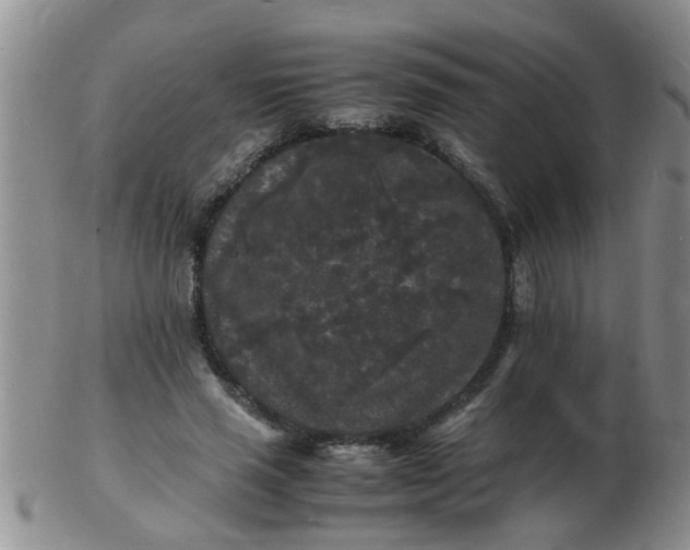 X0000103290637200809122008