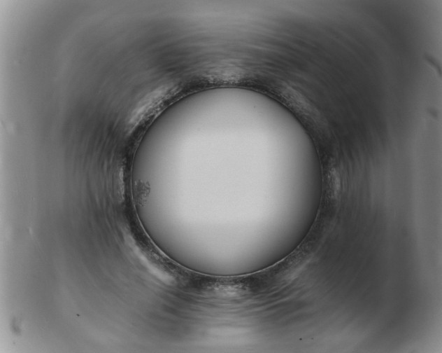 X0000103290638200809122008