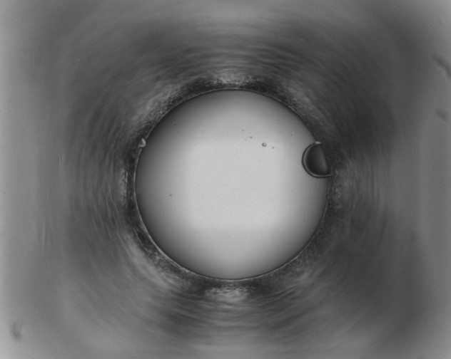 X0000103290639200809122008