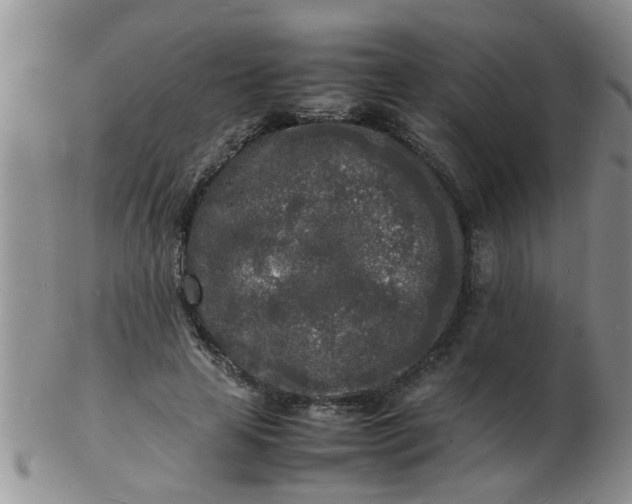 X0000103290641200809122008