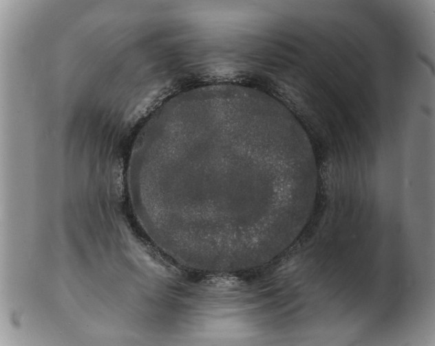 X0000103290642200809122008