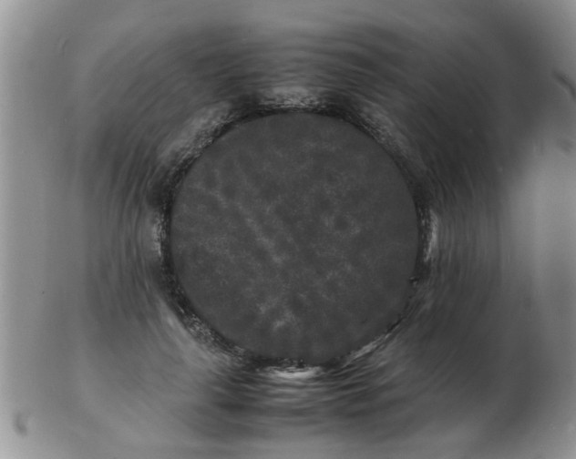 X0000103290643200809122008