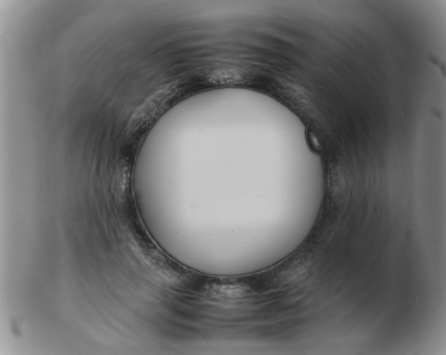 X0000103290645200809122008