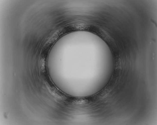 X0000103290646200809122008